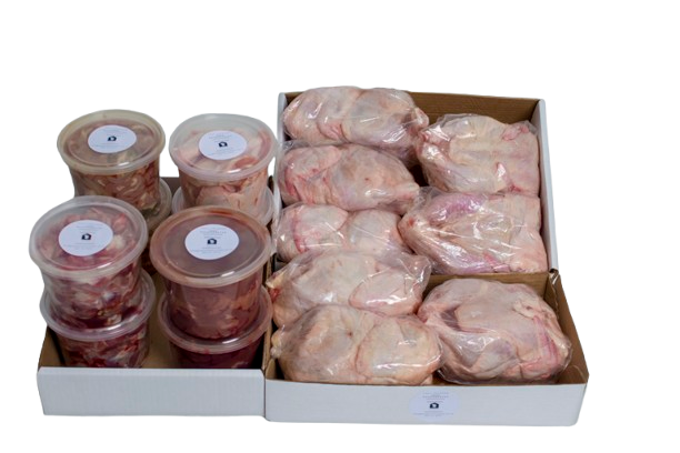 Family Box Large