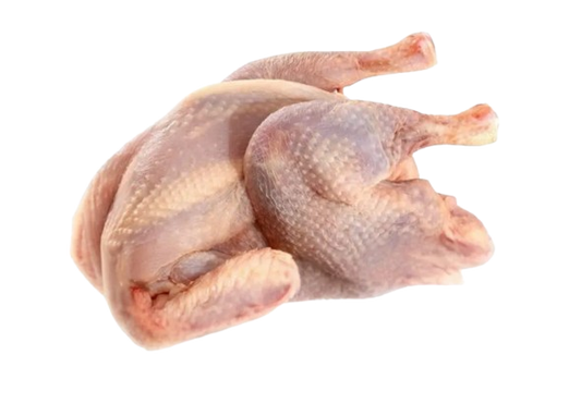 6 Hardbody Chickens