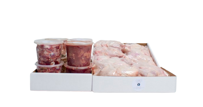 Family Box Large